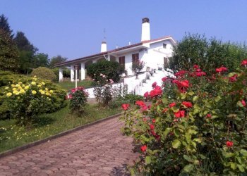 Villa strada Serra, Antignano - foto 3