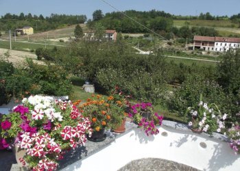 Villa strada Serra, Antignano - foto 5