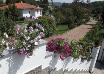Villa strada Serra, Antignano - foto 6