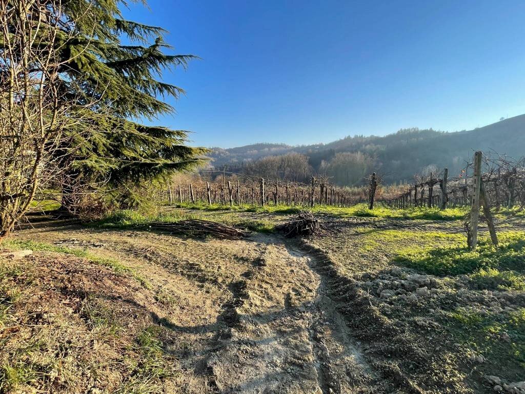 Terreno agricolo Alice Bel Colle - foto 3