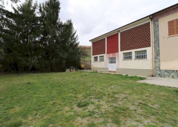 Terreno agricolo Alice Bel Colle - foto 7