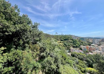 Trilocale Genova (zona Pegli) - foto 15