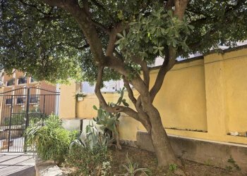 Appartamento Savona (zona Villetta) - foto 12