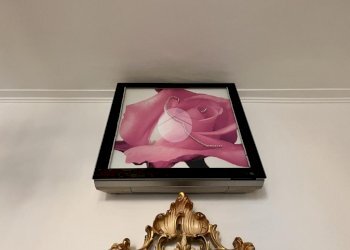 Trilocale Via Casteldelfino, Torino (zona Borgo Vittoria) - foto 28