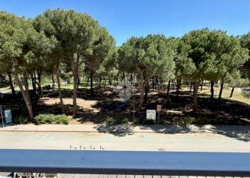 Two-room apartment Viale Fratelli Vivaldi, Ravenna (neighborhood Lido di Classe) - photo 14