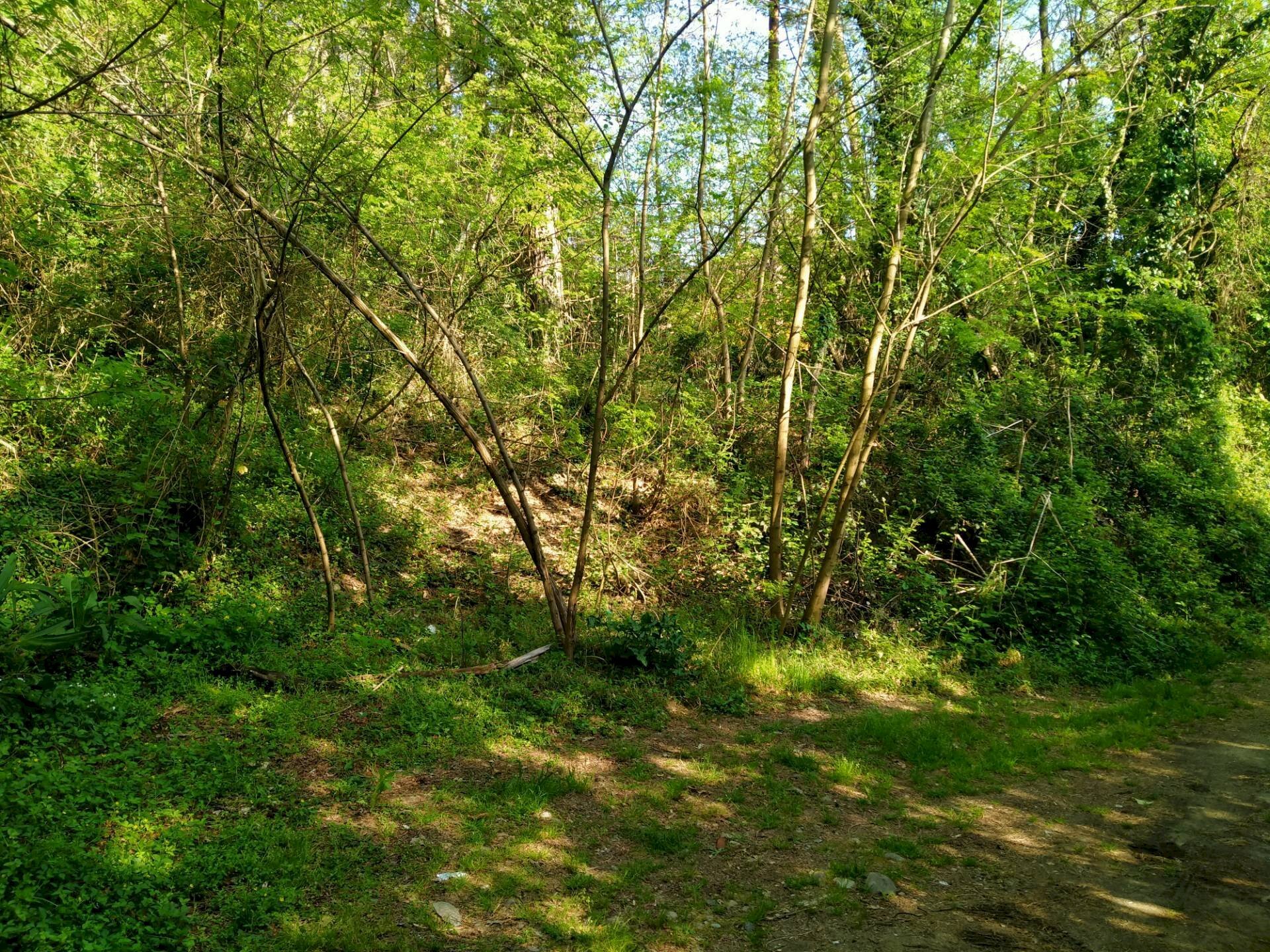 Foto 2 - Building land delle ville, Vergiate - photo 2