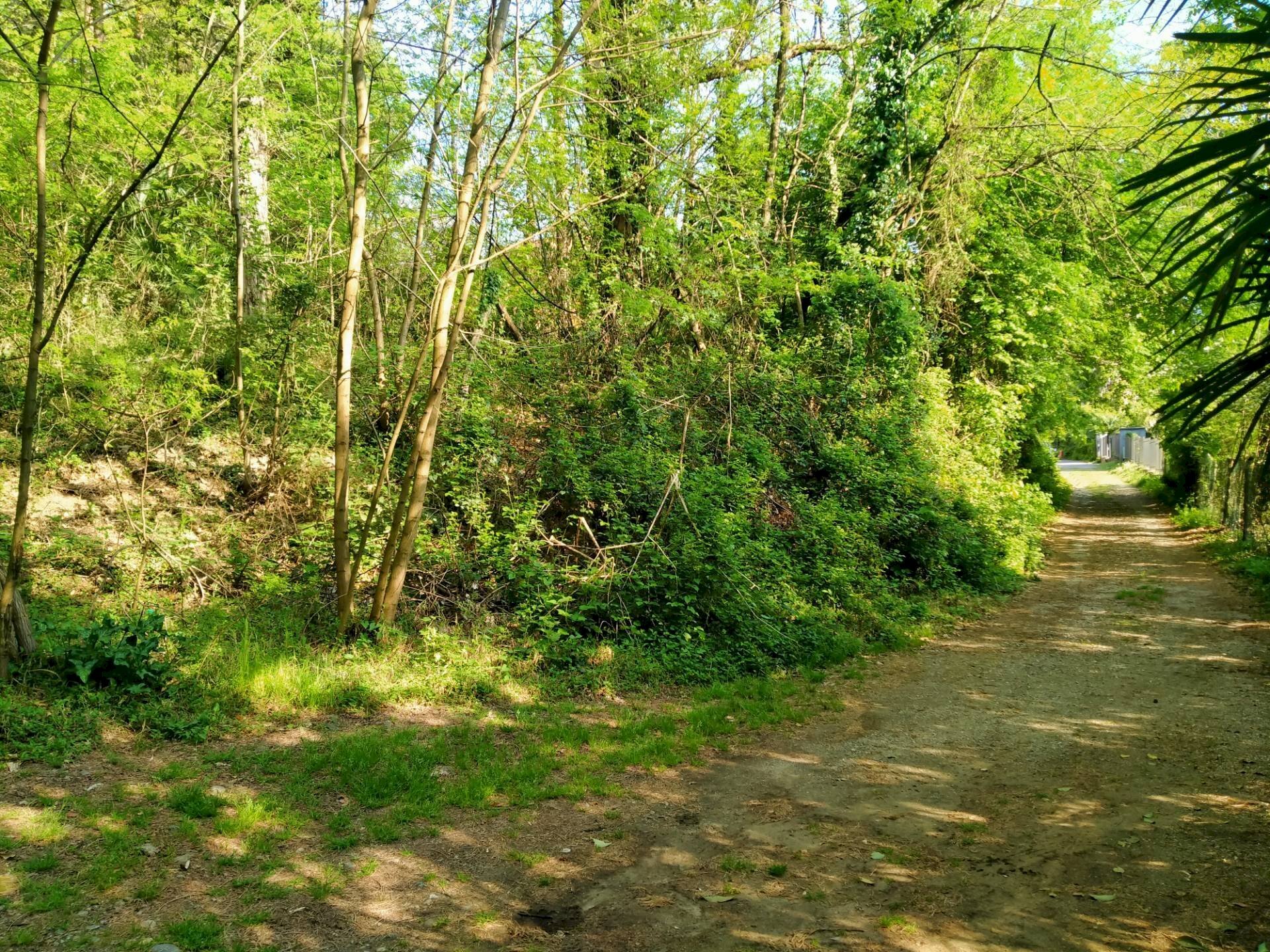 Foto 3 - Building land delle ville, Vergiate - photo 3