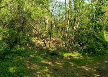 Foto 2 - Building land delle ville, Vergiate - photo 2