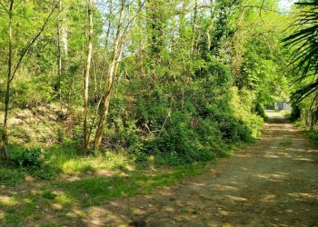 Foto 3 - Building land delle ville, Vergiate - photo 3