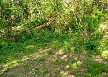Foto 4 - Building land delle ville, Vergiate - photo 4