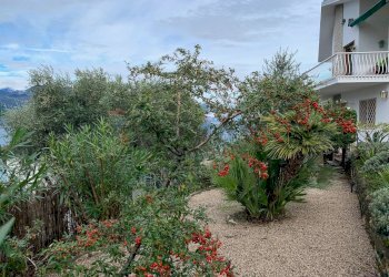 Giardino - Villa via La Pianta, Brenzone sul Garda - foto 33
