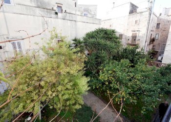Giardino - Independent house Via Ugo Foscolo
 
28/30/32, Terlizzi - photo 6