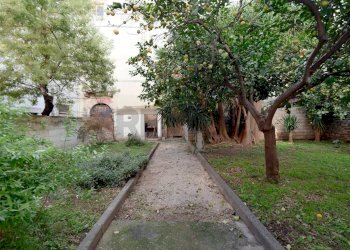 Giardino - Independent house Via Ugo Foscolo
 
28/30/32, Terlizzi - photo 23