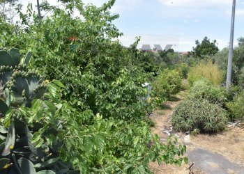 Giardino - Building land Via Villapetrosa
snc, Acireale - photo 5