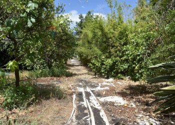 Giardino - Building land Via Villapetrosa
snc, Acireale - photo 8