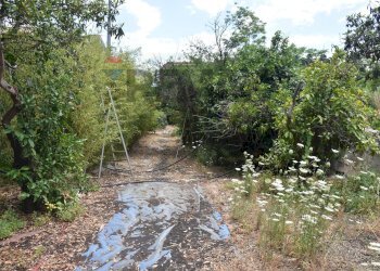 Giardino - Building land Via Villapetrosa
snc, Acireale - photo 10