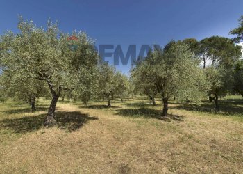 Giardino - Villa Via Montelaguardia
 
15, Randazzo - photo 53