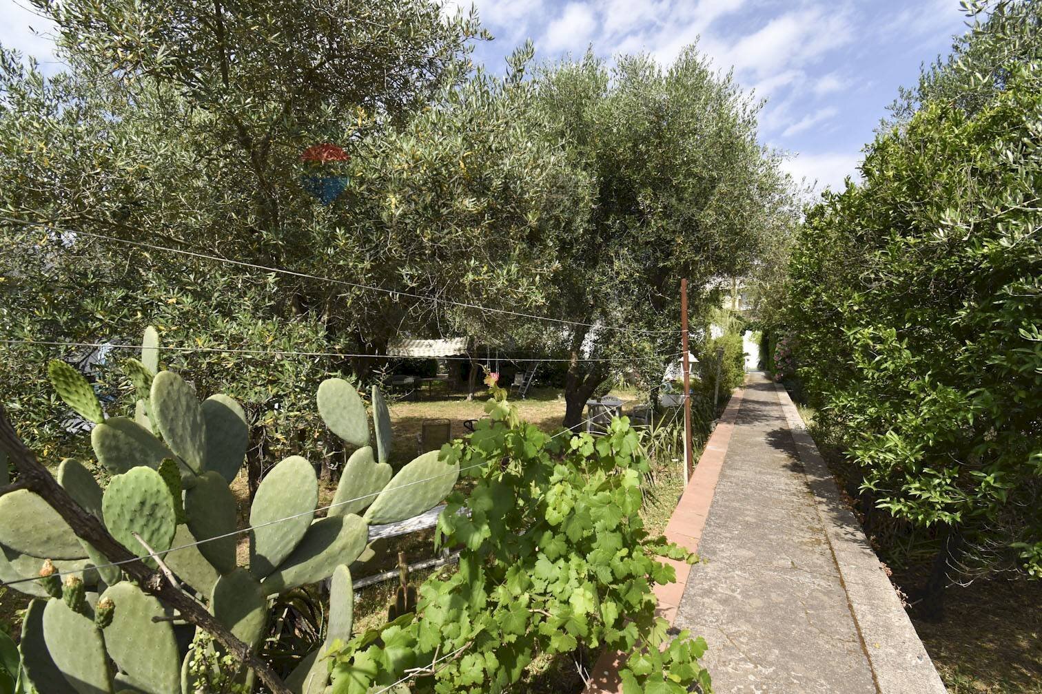 Giardino - Villa Via delle Gardenie
16, Valverde - photo 3