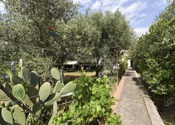 Giardino - Villa Via delle Gardenie
 
16, Valverde - photo 3