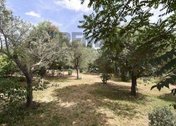 Giardino - Villa Via delle Gardenie
 
16, Valverde - photo 32