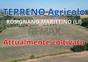 Non correlato - Agricultural land stradone del tripesce, Rosignano Marittimo - photo 1