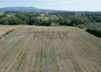 Vista delle montagne - Agricultural land stradone del tripesce, Rosignano Marittimo - photo 8
