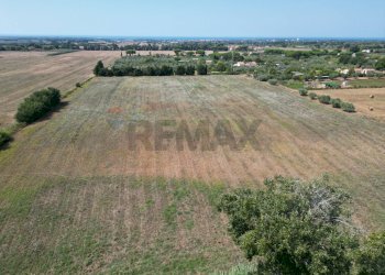 Vista delle montagne - Agricultural land stradone del tripesce, Rosignano Marittimo - photo 10