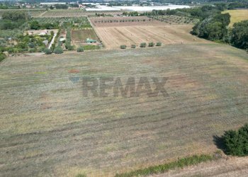 Vista delle montagne - Agricultural land stradone del tripesce, Rosignano Marittimo - photo 11