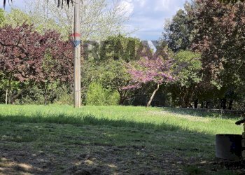 Giardino - Casa indipendente Via Castagnetana
 
23, Monteverdi Marittimo - foto 7