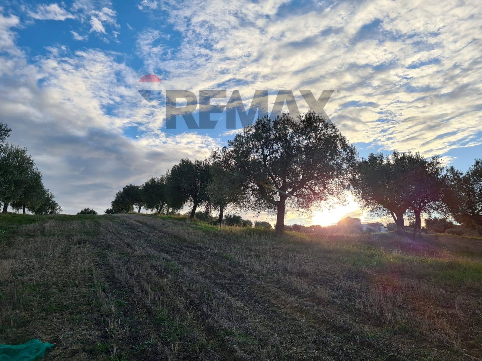 Non correlato - Agricultural land (A125) Bivio Via Pizzotondo e Terrabianca
A125, Alba Adriatica - photo 2