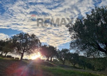 Non correlato - Terreno agricolo (A125) Bivio Via Pizzotondo e Terrabianca
A125, Alba Adriatica - foto 1