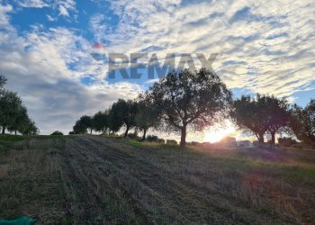 Non correlato - Terreno agricolo (A125) Bivio Via Pizzotondo e Terrabianca
A125, Alba Adriatica - foto 2