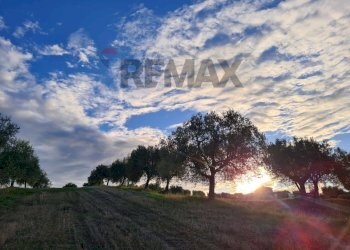 Vista delle montagne - Terreno agricolo (A125) Bivio Via Pizzotondo e Terrabianca
A125, Alba Adriatica - foto 3