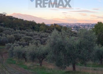 Vista delle montagne - Terreno agricolo (A125) Bivio Via Pizzotondo e Terrabianca
A125, Alba Adriatica - foto 10