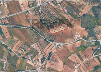 Posizione della mappa - Terreno agricolo (A125) Bivio Via Pizzotondo e Terrabianca
A125, Alba Adriatica - foto 16