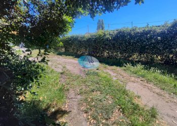 Foto 4 - Rustico via aurelia sud, Viareggio - foto 4
