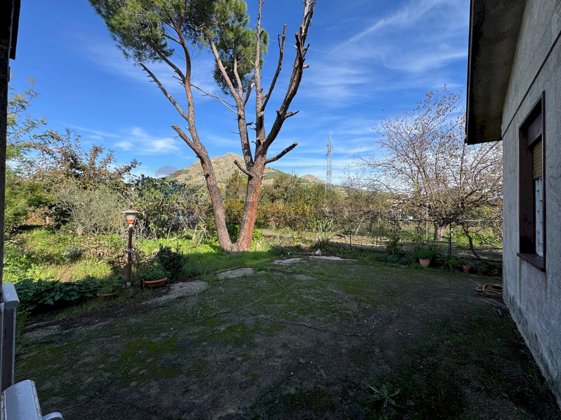 Giardino - Villa Via Della Zagara
12, Misilmeri - photo 3