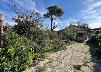 Giardino - Villa Via Della Zagara
 
12, Misilmeri - photo 6
