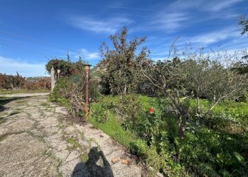 Giardino - Villa Via Della Zagara
 
12, Misilmeri - photo 8