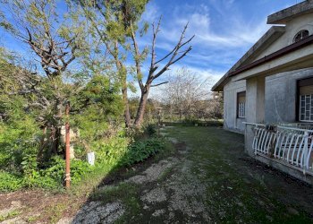 Giardino - Villa Via Della Zagara
 
12, Misilmeri - photo 9