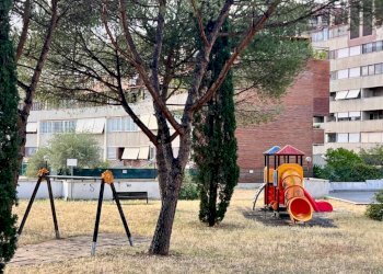 Giardino - Trilocale viale Londra, Roma - foto 33