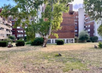 Terreno - Trilocale viale Londra, Roma - foto 34