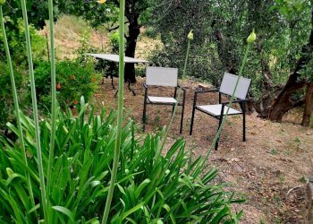 Foto 32 - Villa località aquilino
snc, Monte Argentario - photo 32