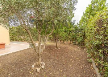 Giardino - Trilocale Via Cancelliera
 
1, Albano Laziale - foto 16