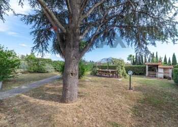 Giardino - Terreno non edificabile Via Della Falcognana
61/I, Roma - foto 38