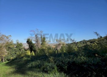 Giardino - Building land VIA BELVEDERE, San Giovanni Teatino - photo 24