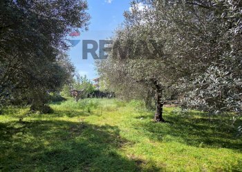 Giardino - Building land Strada Colle Renazzo, Pescara - photo 4