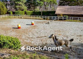 Posto macchina - Rustic Borgata Veneria, 36, Giaveno - photo 28