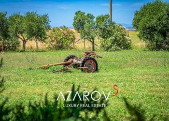 Terreno - Villa via Umberto I, Montalto di Castro - foto 26