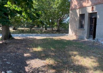 Rustico Imola - foto 5